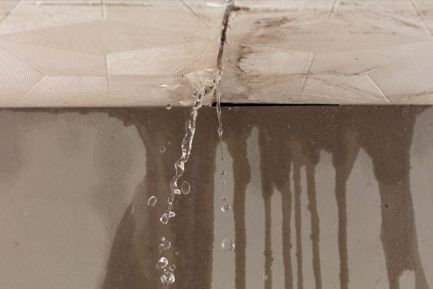 Professional Water Extraction technician working in Frankfort, MI